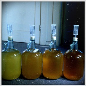 Cider Batch 1: Update Cider Batch 1: Update