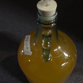 Cider: Apfelwein Batch #1 Cider: Apfelwein Batch #1