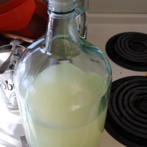 Limeade Wine Limeade Wine