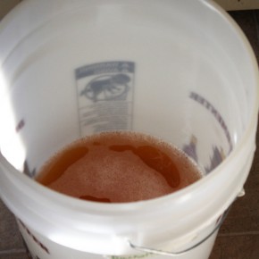 Apfelwein #5 Secondaried Apfelwein #5 Secondaried
